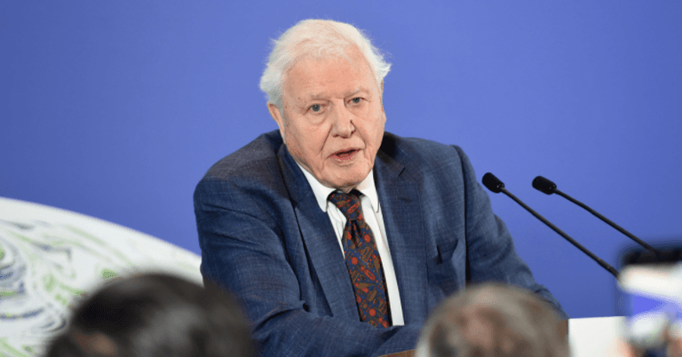 Sir David Attenborough’s warning about climate change is ‘overly simplistic’, says scientist Sir David Attenborough’s warning about climate change is ‘overly simplistic’, says scientist
