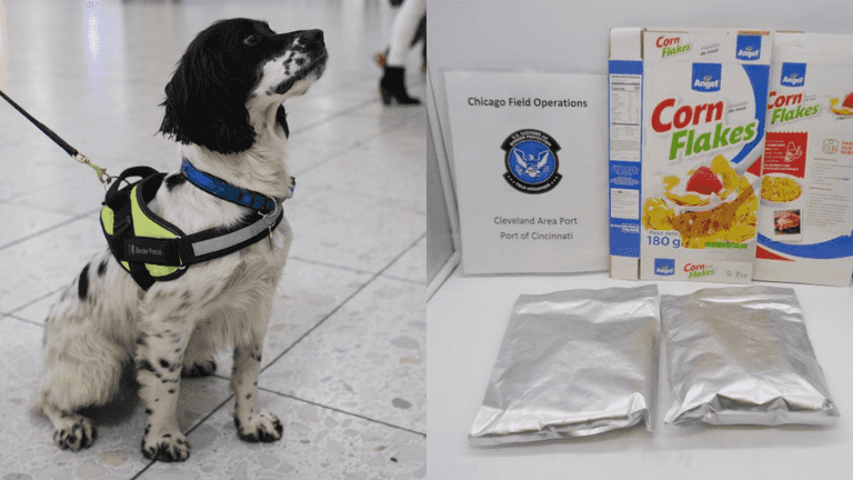 US Customs intercept 20kg of cocaine hidden on corn flakes US Customs intercept 20kg of cocaine hidden on corn flakes