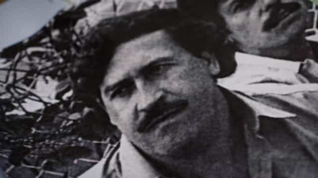 Scientists say Pablo Escobar’s hippos must be culled as population surges Scientists say Pablo Escobar’s hippos must be culled as population surges