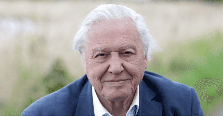 Sir David Attenborough urges politicians to work together to end climate crisis Sir David Attenborough urges politicians to work together to end climate crisis