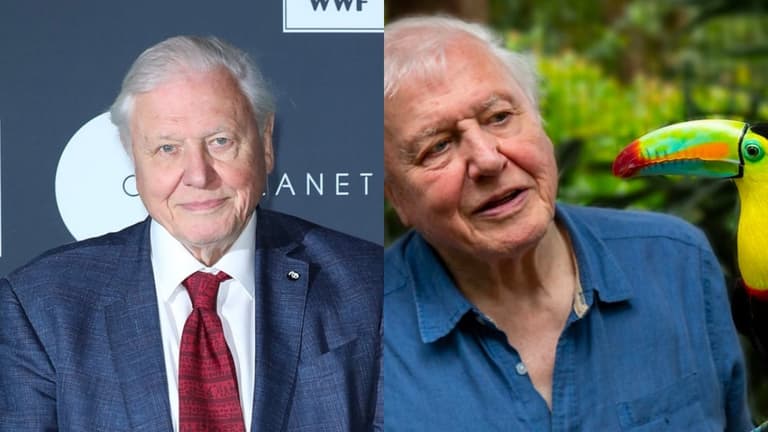 Brand new David Attenborough nature doc drops on Netflix today Brand new David Attenborough nature doc drops on Netflix today