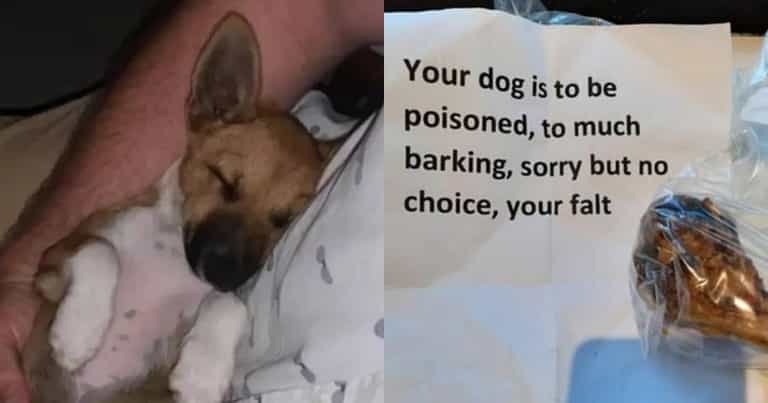 Woman finds poisoned bone with note left for dog ‘who barked too much’ Woman finds poisoned bone with note left for dog ‘who barked too much’