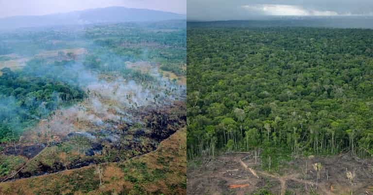 Amazon rainforest is emitting more greenhouse gases than it absorbs Amazon rainforest is emitting more greenhouse gases than it absorbs