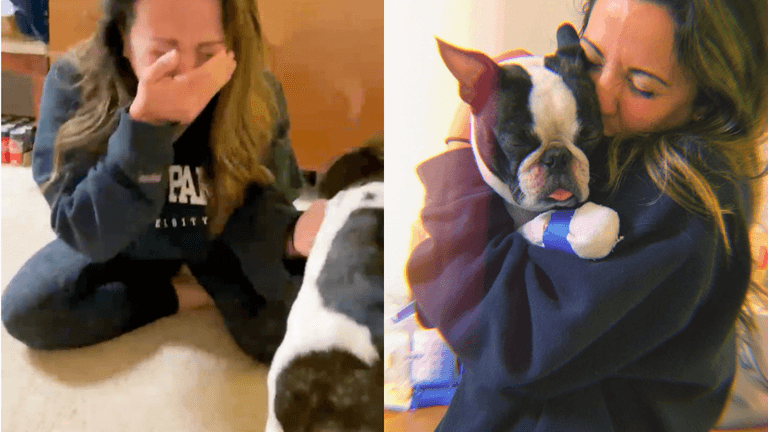 Missing dog returned to owner after 290 days in emotional reunion Missing dog returned to owner after 290 days in emotional reunion