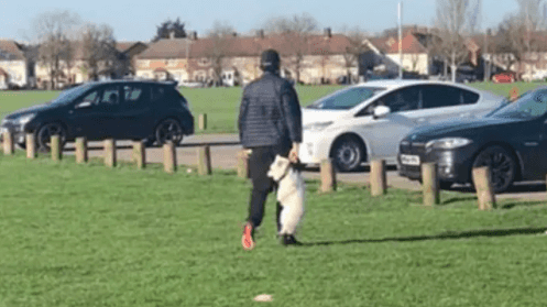 RSPCA searching for man seen carrying dog by collar in park RSPCA searching for man seen carrying dog by collar in park