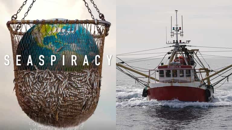 What Netflix’s Seaspiracy gets wrong about fishing, according to a marine biologist What Netflix’s Seaspiracy gets wrong about fishing, according to a marine biologist