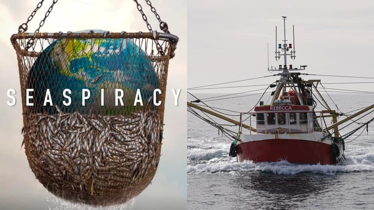What Netflix’s Seaspiracy gets wrong about fishing, according to a marine biologist What Netflix’s Seaspiracy gets wrong about fishing, according to a marine biologist