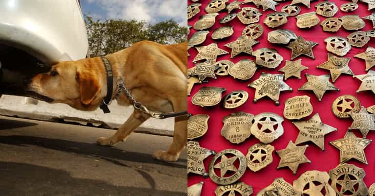 World’s smallest police dog dies hours after the sheriff she served beside World’s smallest police dog dies hours after the sheriff she served beside