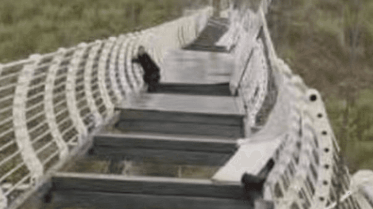 China tourist left clinging to 100m-high bridge after glass panels smash China tourist left clinging to 100m-high bridge after glass panels smash