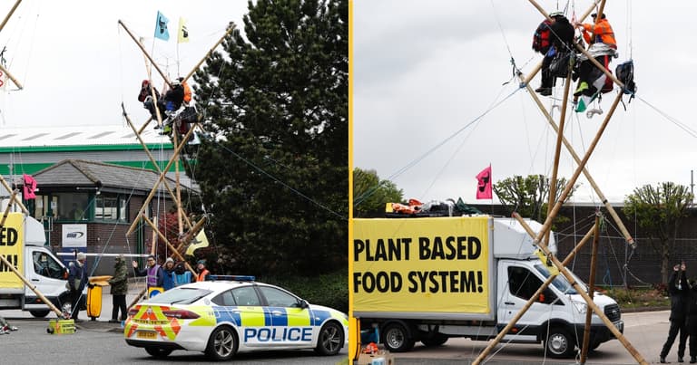 Eight animal rights protesters charged after McDonald’s blockade Eight animal rights protesters charged after McDonald’s blockade