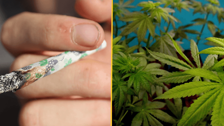 Court uphold’s man’s life sentence for possessing 30 grams of cannabis Court uphold’s man’s life sentence for possessing 30 grams of cannabis