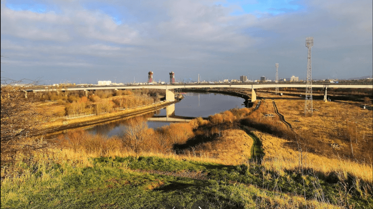 Man in 40s ‘pushed to the ground and raped’ near nature reserve Man in 40s ‘pushed to the ground and raped’ near nature reserve