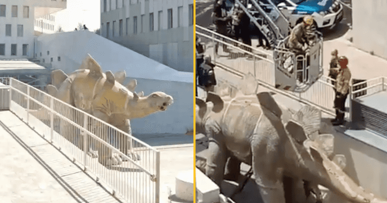 Body of missing man found inside dinosaur statue Body of missing man found inside dinosaur statue