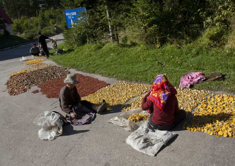 North Korea is running out of food as a bunch of bananas ‘now costs $45’ North Korea is running out of food as a bunch of bananas ‘now costs $45’