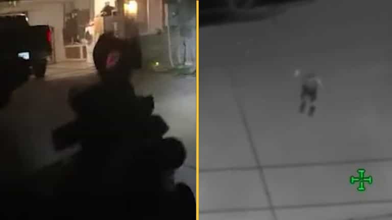 Children find gun cache with AK47 and fire on police in 30 minute standoff Children find gun cache with AK47 and fire on police in 30 minute standoff