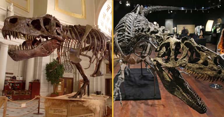 One in ten Brits think dinosaurs still exist somewhere in the world, according to study One in ten Brits think dinosaurs still exist somewhere in the world, according to study