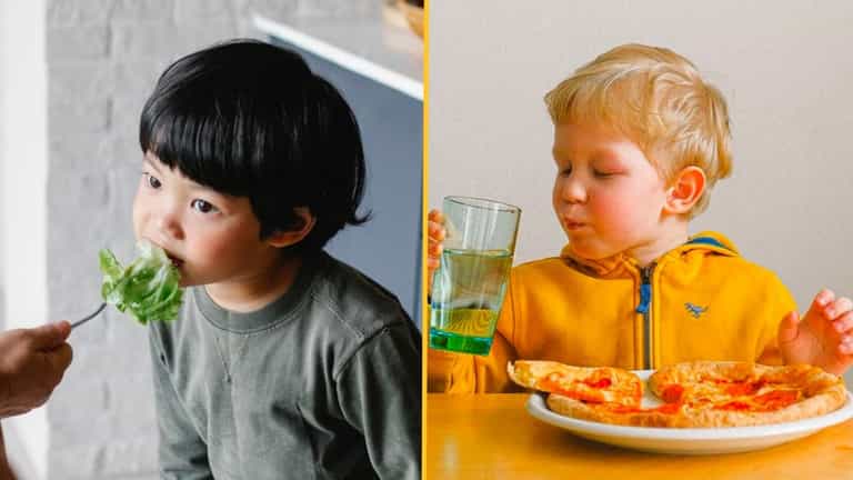Vegan children end up shorter and weaker than meat eaters, study finds Vegan children end up shorter and weaker than meat eaters, study finds