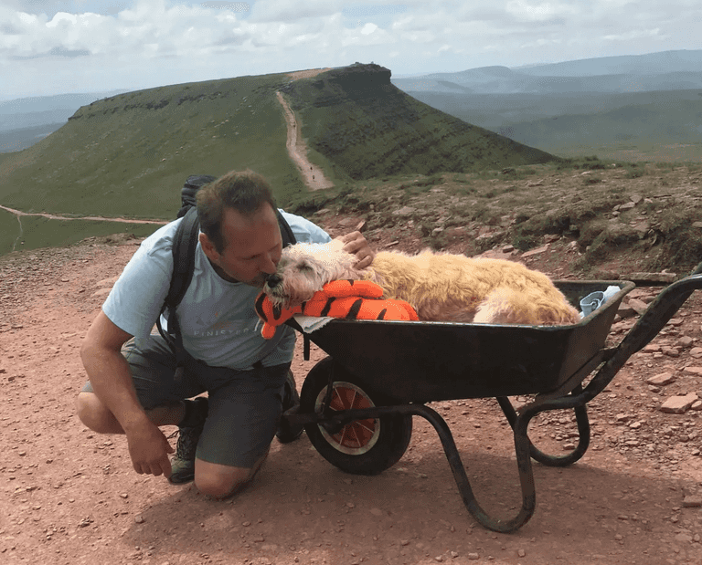 Man takes dying dog for one final walk up favourite mountain in wheelbarrow Man takes dying dog for one final walk up favourite mountain in wheelbarrow