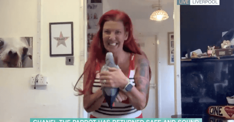 Chanel the parrot is finally home again after going missing for second time Chanel the parrot is finally home again after going missing for second time