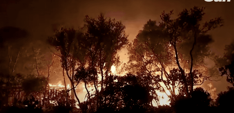 Couple charged with 30 crimes after gender reveal party started wildfire Couple charged with 30 crimes after gender reveal party started wildfire