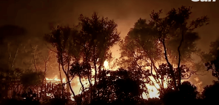 Couple charged with 30 crimes after gender reveal party started wildfire Couple charged with 30 crimes after gender reveal party started wildfire