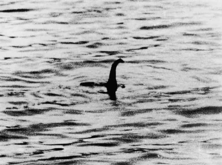 New Loch Ness Monster sighting as creature spotted for second time in 11 days New Loch Ness Monster sighting as creature spotted for second time in 11 days