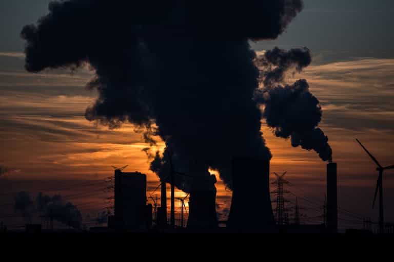 There’s now too much CO2 in the atmosphere that planting trees cannot save us There’s now too much CO2 in the atmosphere that planting trees cannot save us