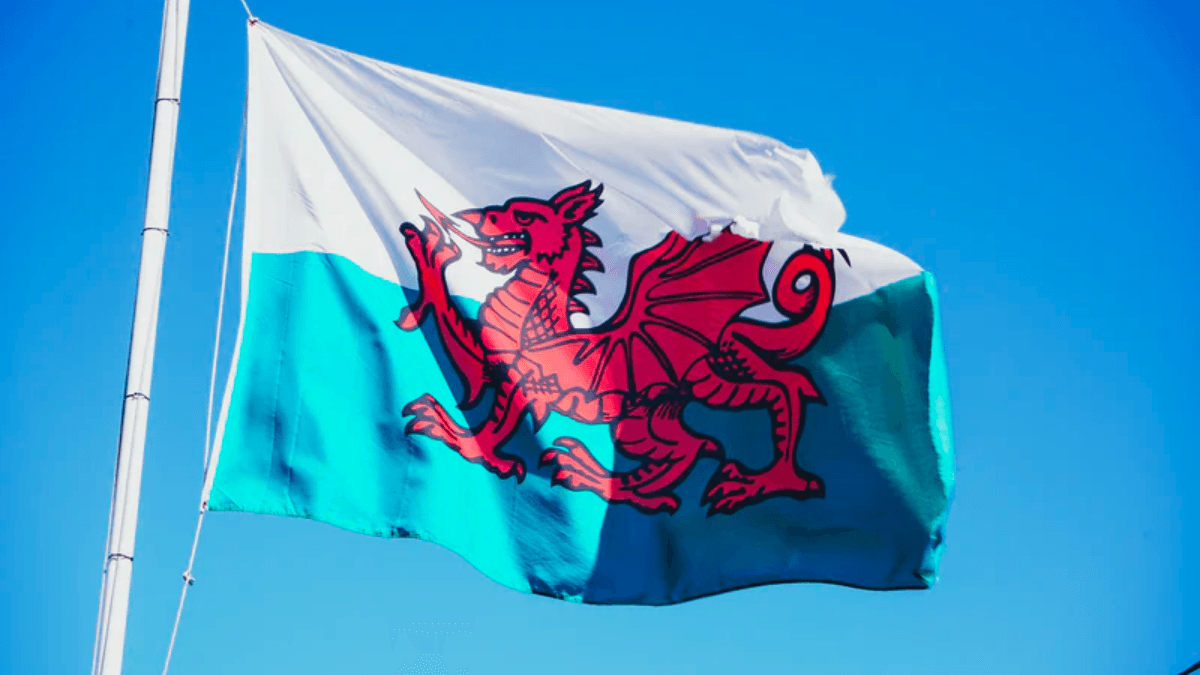 People demand dragon on Welsh flag be given a penis
