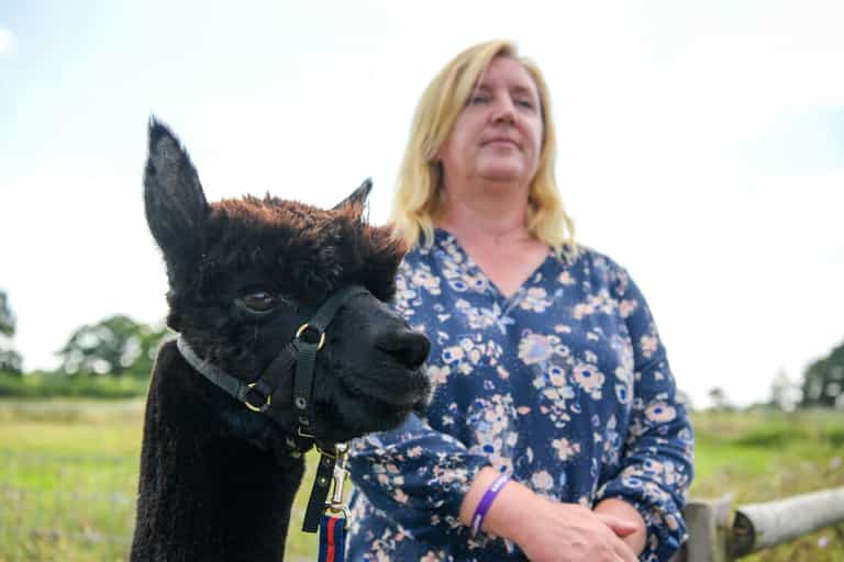 Post-mortem of Geronimo the alpaca shows no evidence he had TB Post-mortem of Geronimo the alpaca shows no evidence he had TB