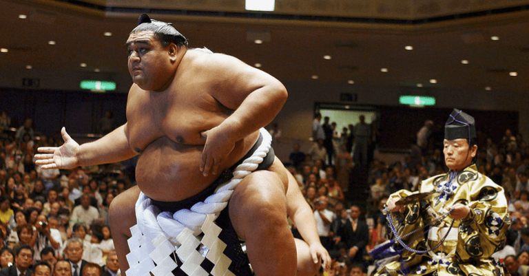 Sumo wrestler says drinking beer every day is the secret to his success Sumo wrestler says drinking beer every day is the secret to his success