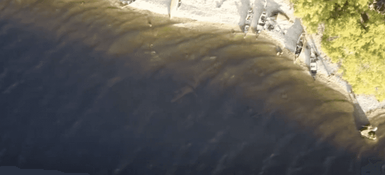 ‘Loch Ness Monster’ caught on drone footage by wild camper ‘Loch Ness Monster’ caught on drone footage by wild camper