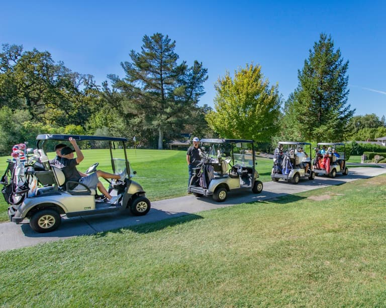 Nude woman driving golf cart crashes armed police standoff Nude woman driving golf cart crashes armed police standoff