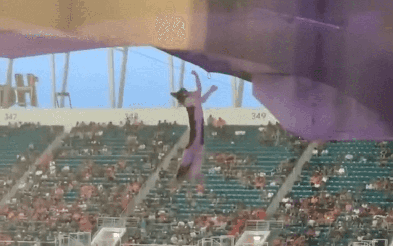 Fans save dangling cat at American football game Fans save dangling cat at American football game