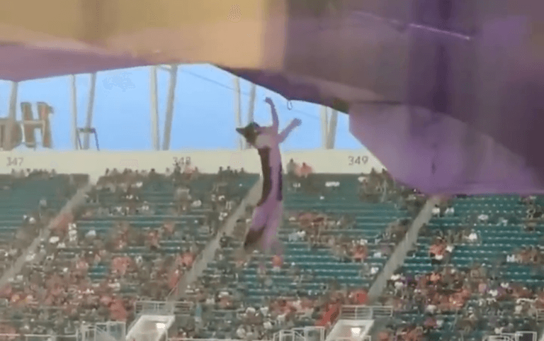 Fans save dangling cat at American football game Fans save dangling cat at American football game