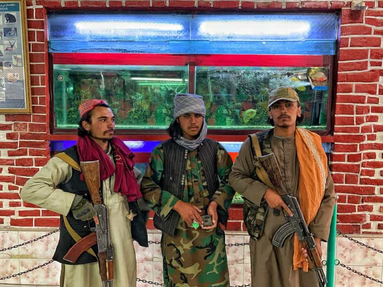 Bodies hang from cranes as Taliban restore public executions Bodies hang from cranes as Taliban restore public executions