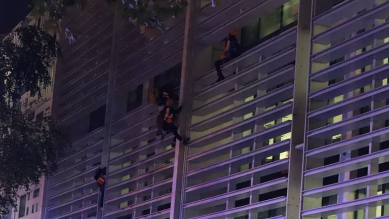Animal Rebellion protesters climb Government building demanding UK go vegan Animal Rebellion protesters climb Government building demanding UK go vegan