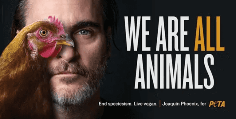 Joaquin Phoenix calls for everyone to go vegan and ‘end speciesism’ Joaquin Phoenix calls for everyone to go vegan and ‘end speciesism’