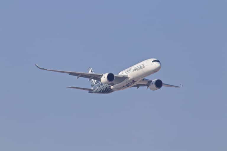 Internet fumes at viral pic of plane passenger’s ‘inconsiderate’ hair Internet fumes at viral pic of plane passenger’s ‘inconsiderate’ hair