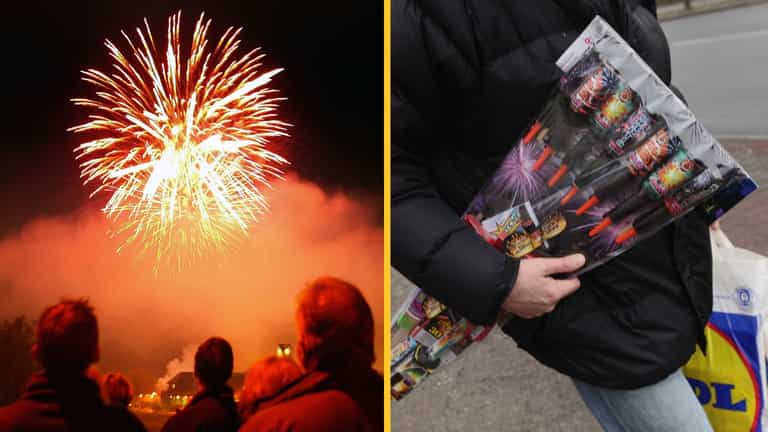 Government considering new laws on public sale of fireworks amid concerns on impact for pets Government considering new laws on public sale of fireworks amid concerns on impact for pets