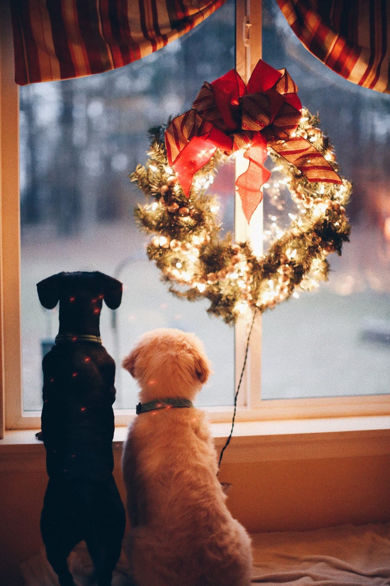 Putting up Christmas decorations earlier could make you happier, according to experts