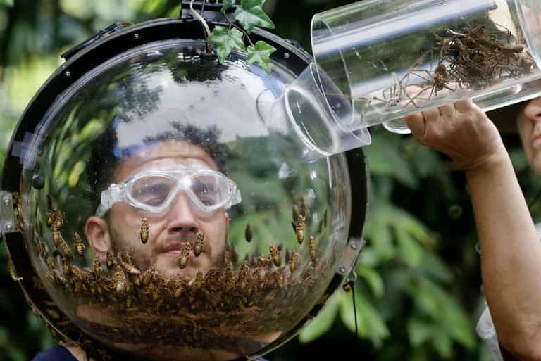 PETA is calling for a boycott of I’m a Celeb for its ‘cruel’ use of animals PETA is calling for a boycott of I’m a Celeb for its ‘cruel’ use of animals