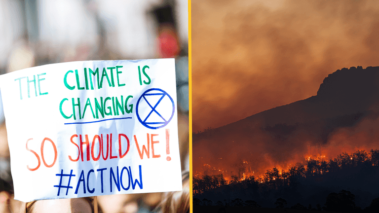 Here’s how many people will die by 2050 if nothing is done to stop climate change Here’s how many people will die by 2050 if nothing is done to stop climate change