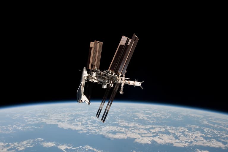 NASA has successfully grown green peppers in space NASA has successfully grown green peppers in space