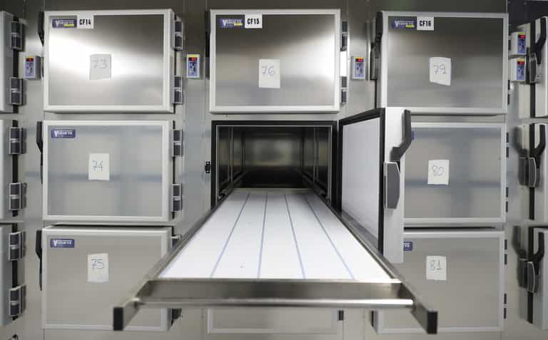 Man declared dead found alive after night in morgue freezer Man declared dead found alive after night in morgue freezer