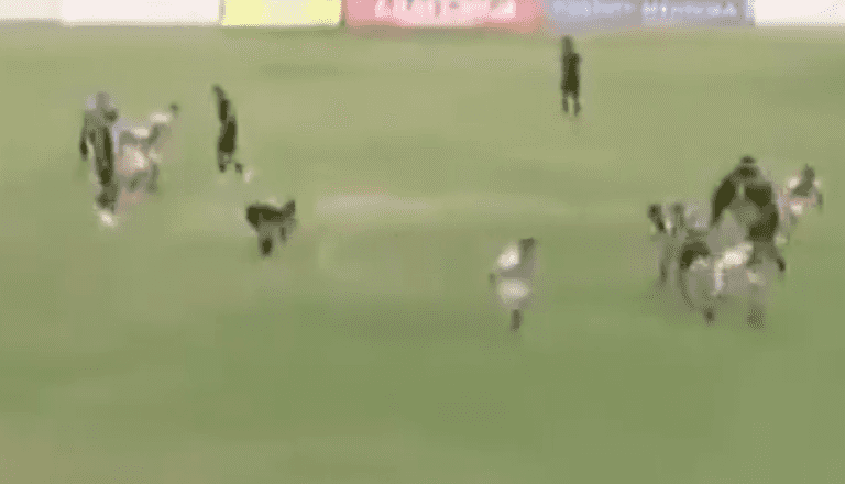 Game in Argentina abandoned after coach was shot in shoulder Game in Argentina abandoned after coach was shot in shoulder