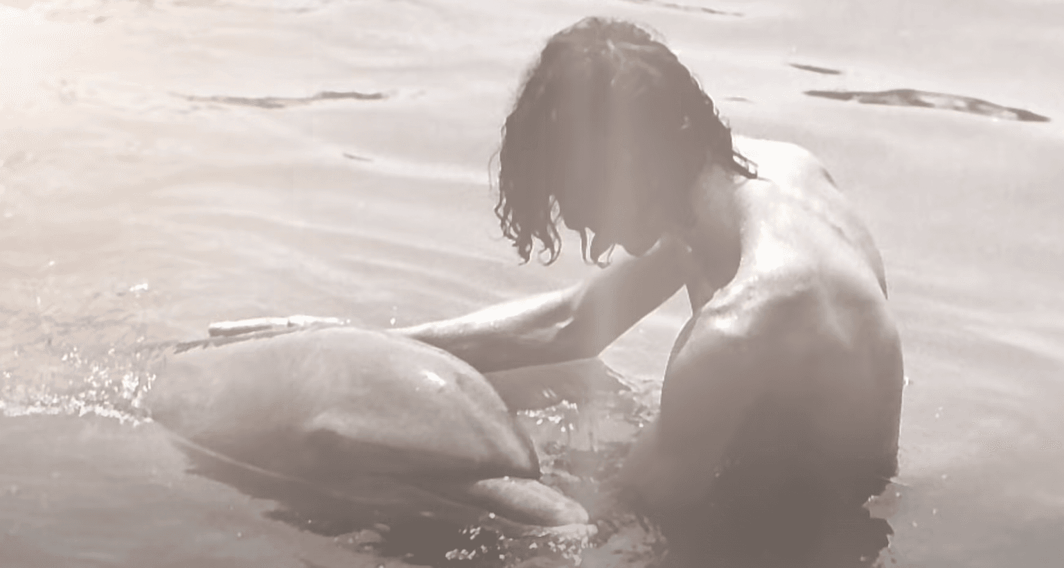 Man claims dolphin seduced him and it led to a sexual relationship