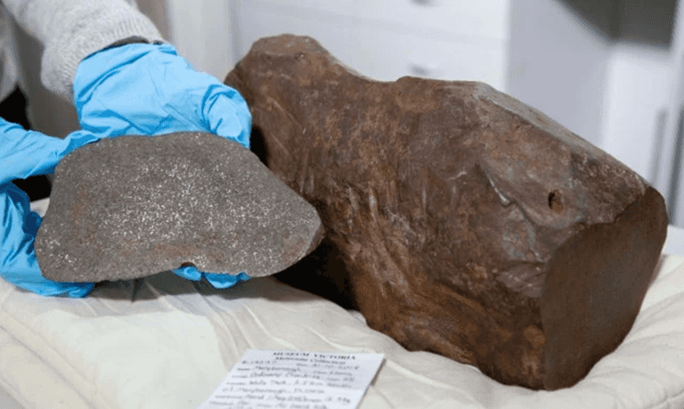 Man keeps rock for years in hope it’s gold – turns out it’s way more valuable Man keeps rock for years in hope it’s gold – turns out it’s way more valuable
