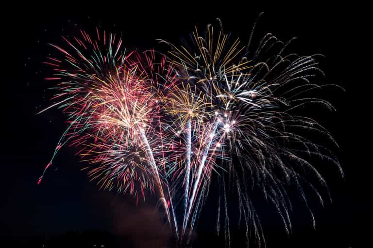 You could be fined for setting off fireworks which cause dogs to suffer You could be fined for setting off fireworks which cause dogs to suffer