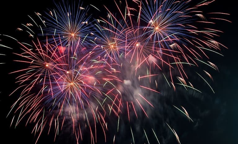 Petition to restrict fireworks to protect pets gets 800,000 signatures Petition to restrict fireworks to protect pets gets 800,000 signatures