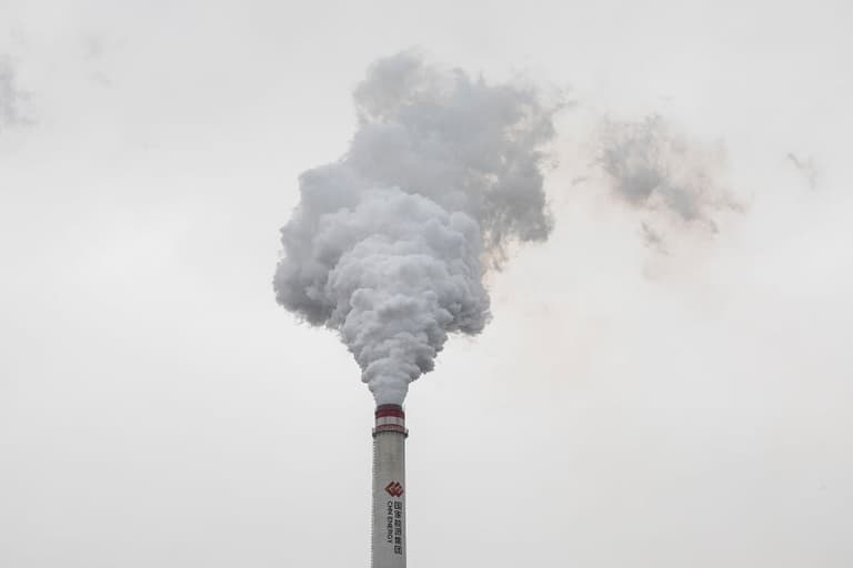 There are more fossil fuel lobbyists at COP26 than delegates from any single country There are more fossil fuel lobbyists at COP26 than delegates from any single country